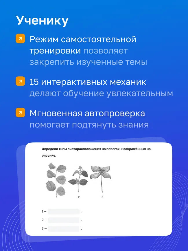 Биология. 6 класс. УМК «Линия жизни». Цифровая рабочая тетрадь 24