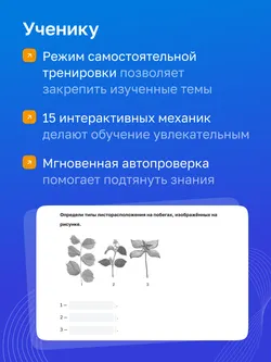 Биология. 6 класс. УМК «Линия жизни». Цифровая рабочая тетрадь 24