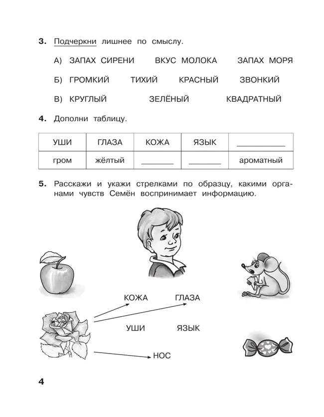 Информатика: рабочая тетрадь для 2 класса: в 2 ч. Ч.1 20