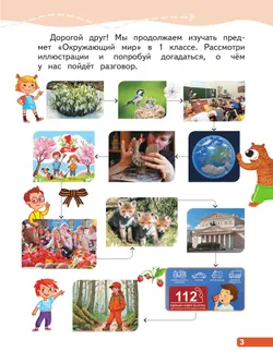 Окружающий мир. 1 класс. В 4-х частях. Часть 4 28