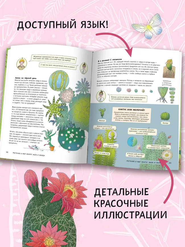 Поведение растений 13 Поведение растений 13