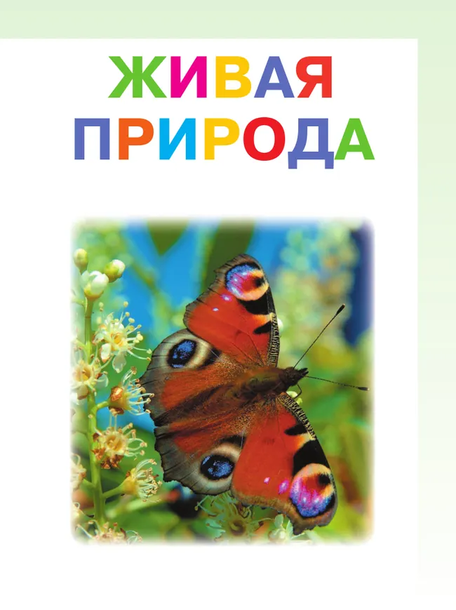 Мир природы и человека. 3 класс. Учебник. В 2 частях.Часть 2 (для обучающихся с интеллектуальными нарушениями) 2