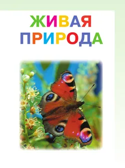 Мир природы и человека. 3 класс. Учебник. В 2 частях.Часть 2 (для обучающихся с интеллектуальными нарушениями) 2
