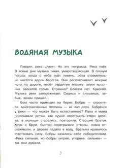 Бобрёнок Бом и скрипка филина 21