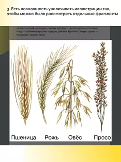 География. 9 класс (для обучающихся с нарушением зрения) 3