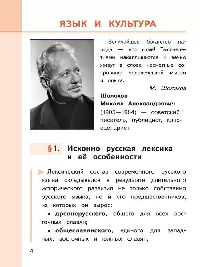 Русский родной язык. 8 класс. Учебное пособие. В 3 ч. Часть 1 (для слабовидящих обучающихся) 16