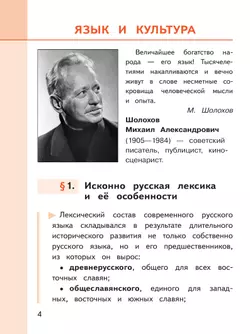 Русский родной язык. 8 класс. Учебное пособие. В 3 ч. Часть 1 (для слабовидящих обучающихся) 16