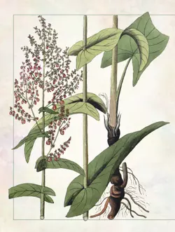 Русский травник 3