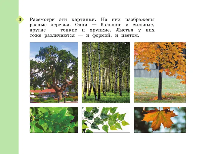 Рабочий альбом по изобразительному искусству. 1 класс 5