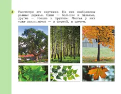 Рабочий альбом по изобразительному искусству. 1 класс 5