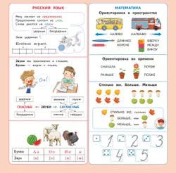 Календарь младшего школьника с наклейками. 1 класс. 2025/2026 учебный год (с европодвесом) 4