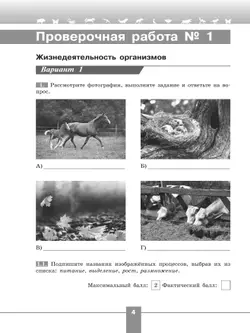 Биология. Проверочные работы в формате ВПР. 6 класс 12