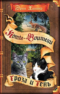 Коты-воители. Цикл "Видение теней". Гроза и тень. 1