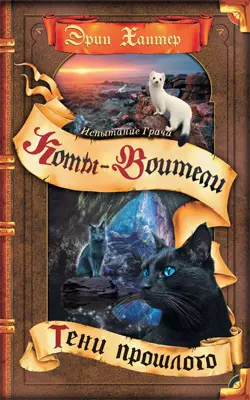 Коты воители. Испытание Грача. Тени прошлого 1