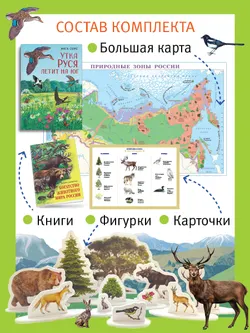 Путешествие по России утки Руси. Настольная игра 12