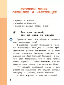 Русский родной язык. 3 класс. Учебное пособие. В 3 ч. Часть 1 (для слабовидящих обучающихся) 19