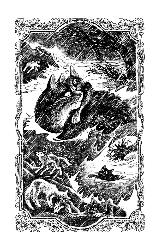 Коты-воители. Цикл "Гроза Ежевичной звезды". Бедствие. Хантер. 23 Коты-воители. Цикл "Гроза Ежевичной звезды". Бедствие. Хантер. 23