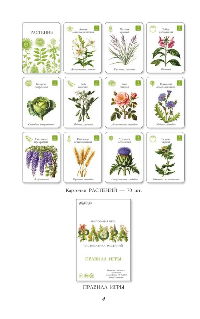Флора. Настольная игра 18