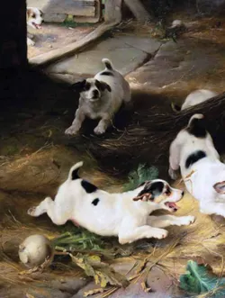 Пушистые и веселые истории о котах и кошках 24