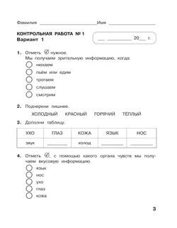 Информатика. 2 класс. Контрольные работы 11
