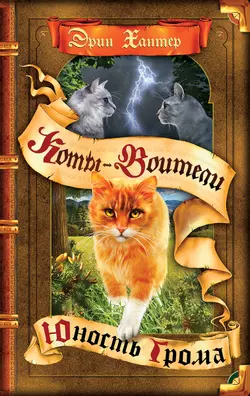 Цикл "Начало племен". Юность Грома. 1