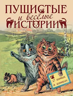 Пушистые и веселые истории о котах и кошках 1