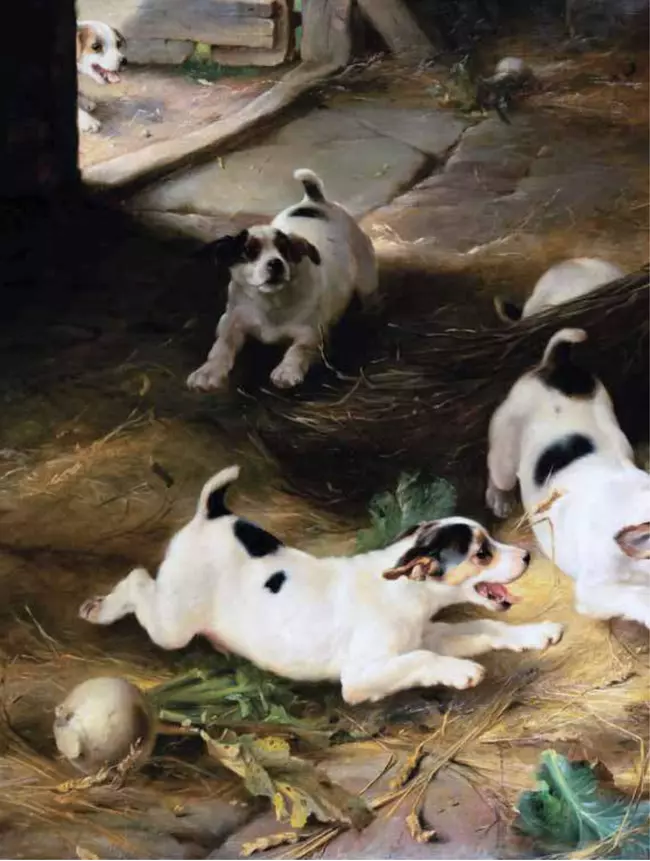 Пушистые и веселые истории о котах и кошках 20