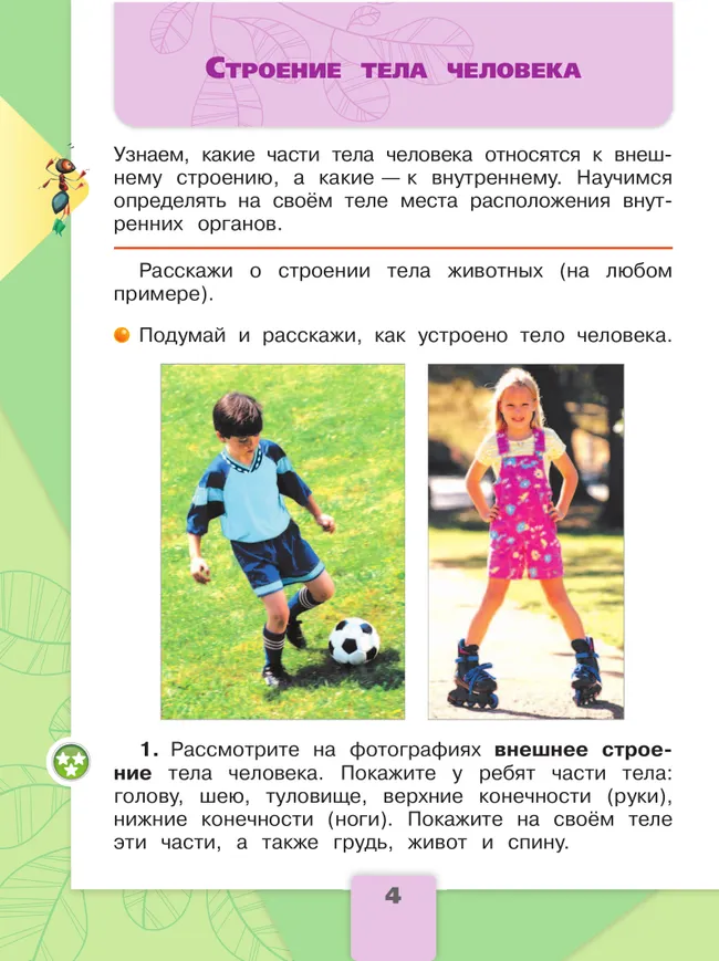 Окружающий мир. 2 класс. Учебник. В 2 ч. Часть 2 33