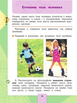 Окружающий мир. 2 класс. Учебник. В 2 ч. Часть 2 33