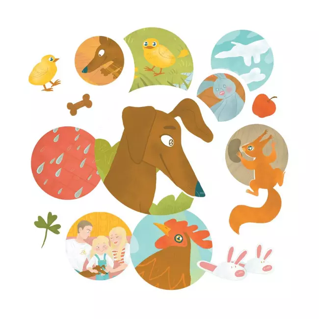 Каждой таксе нужен дом! Удивительные истории про таксу Ламбу 6