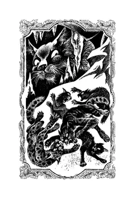 Коты-воители. Цикл "Сила трех". Отверженные. Хантер. 19