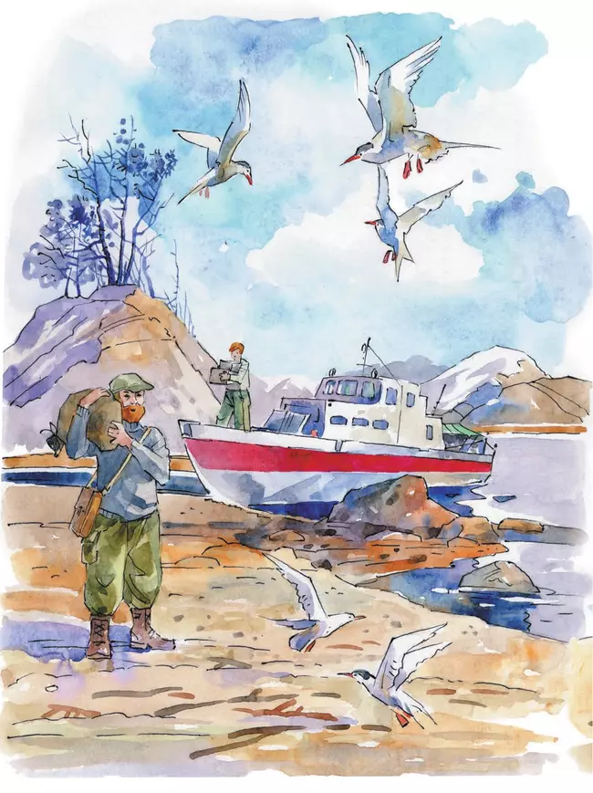 Кругосветное путешествие. Из Арктики в Антарктику и обратно 15