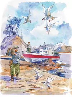 Кругосветное путешествие. Из Арктики в Антарктику и обратно 15