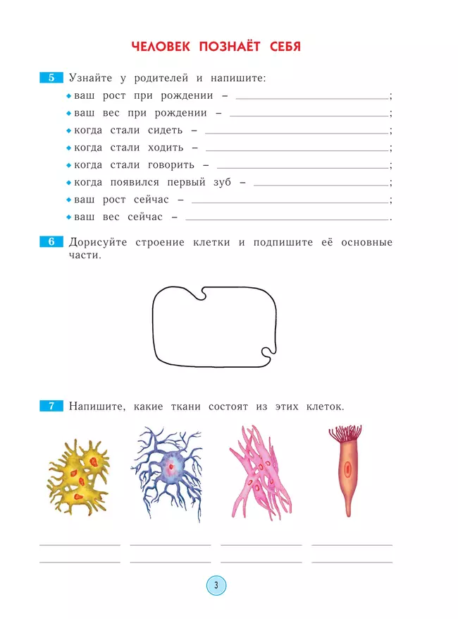 Окружающий мир. Рабочая тетрадь. 4 класс 38 Окружающий мир. Рабочая тетрадь. 4 класс 38