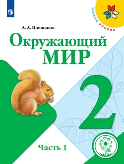 Окружающий мир. 2 класс. Учебное пособие. В 4 ч. Часть 1 (для слабовидящих обучающихся) 1