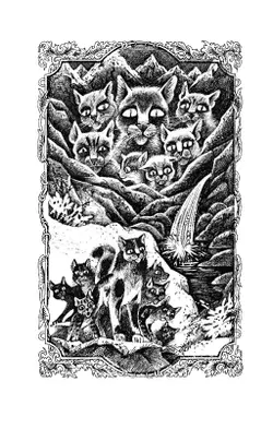 Коты-воители. Цикл "Начало племен". Солнечный путь. Хантер. 12