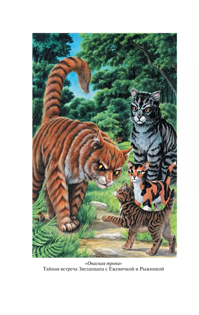 Коты-воители. Золотая коллекция. Опасная тропа. Битва за лес. (новое оформление). Хантер. 1