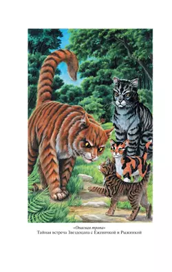 Коты-воители. Золотая коллекция. Опасная тропа. Битва за лес. (новое оформление). Хантер. 1