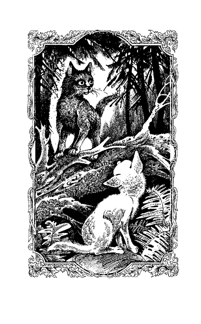 Специальное издание. Пророчество Синей Звезды. Начало. 21