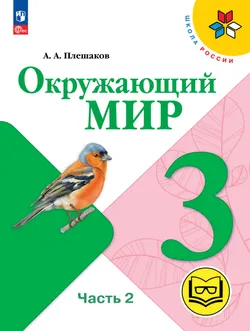 Окружающий мир. 3 класс. Учебное пособие. В 4 ч. Часть 2 (для слабовидящих обучающихся) 1