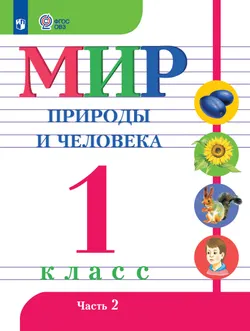 Мир природы и человека. 1 класс. Учебник. В 2 частях. Часть 2 (для обучающихся с интеллектуальными нарушениями) 1