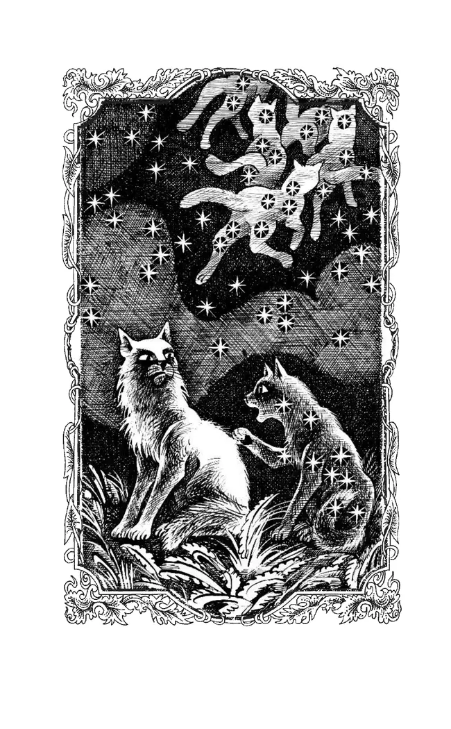 Специальное издание. Месть Звездного Луча. Том1. Разлом. 21 Специальное издание. Месть Звездного Луча. Том1. Разлом. 21