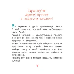 Каждой таксе нужен дом! Удивительные истории про таксу Ламбу 4