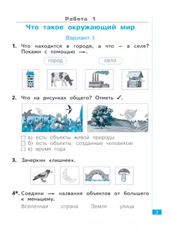 Окружающий мир. Тематический и итоговый контроль. Рабочая тетрадь. 1 класс 8