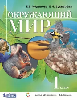 Окружающий мир. 1 класс. Электронная форма учебника 1