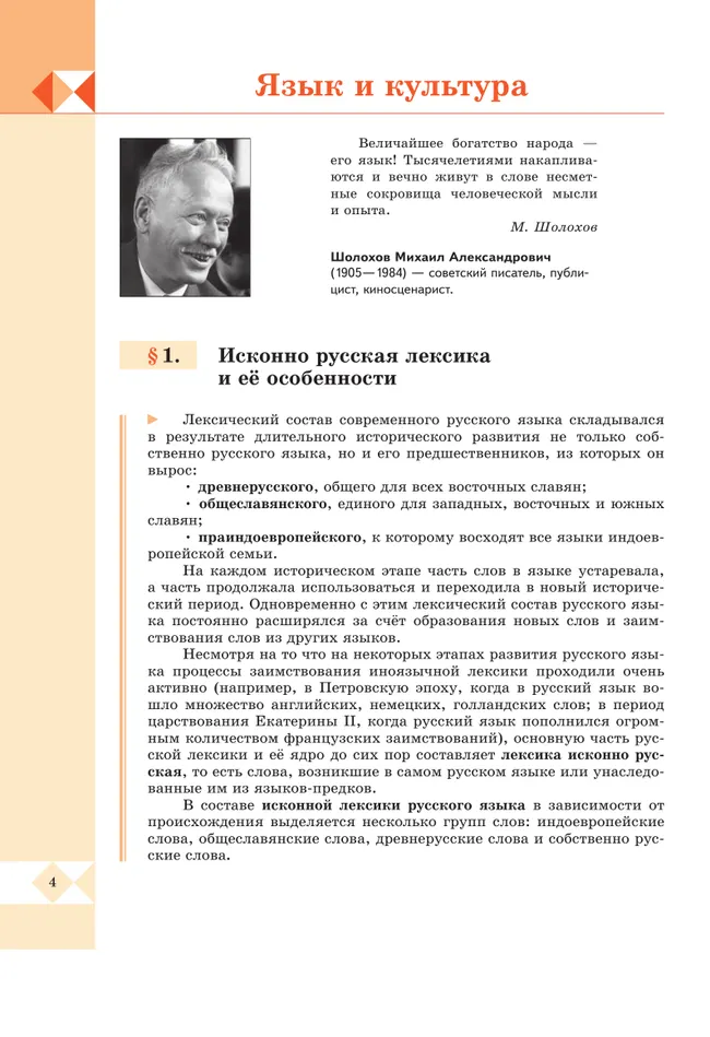 Русский родной язык. 8 класс. Учебник 4