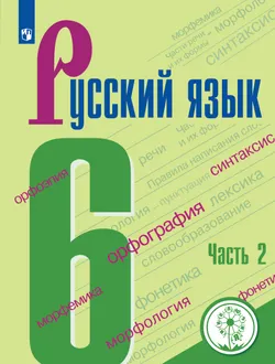 Русский язык. 6 класс. Учебное пособие. В 4 ч. Часть 2 (для слабовидящих обучающихся) 1