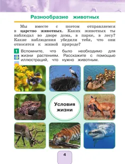 Окружающий мир. 1 класс. Учебное пособие. В 2 ч. Часть 2 24