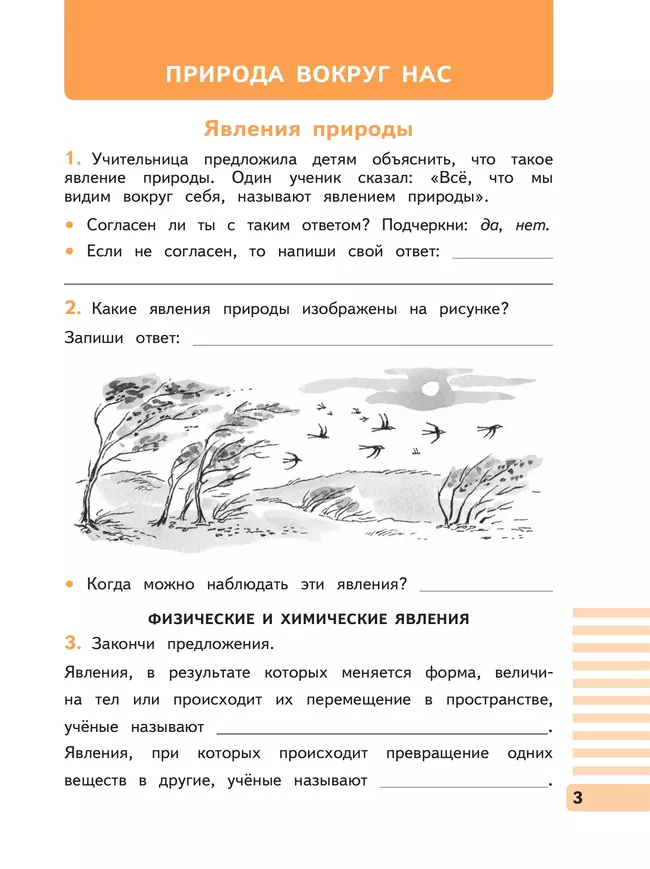 Окружающий мир. 3 класс. Рабочая тетрадь. В 2 частях. Часть 1 8