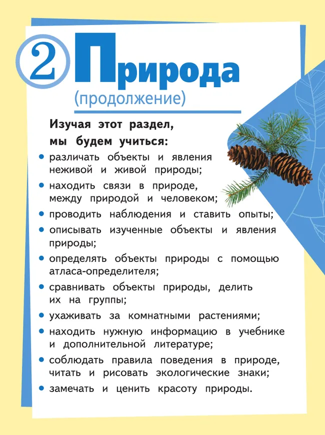 Окружающий мир. 2 класс. Учебное пособие. В 4 ч. Часть 2 (для слабовидящих обучающихся) 8